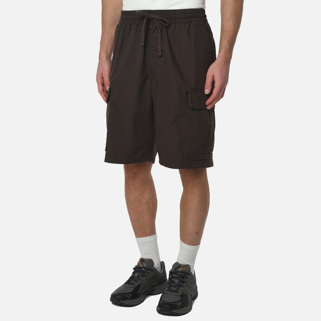 Vans Мужские шорты Range Cargo Loose