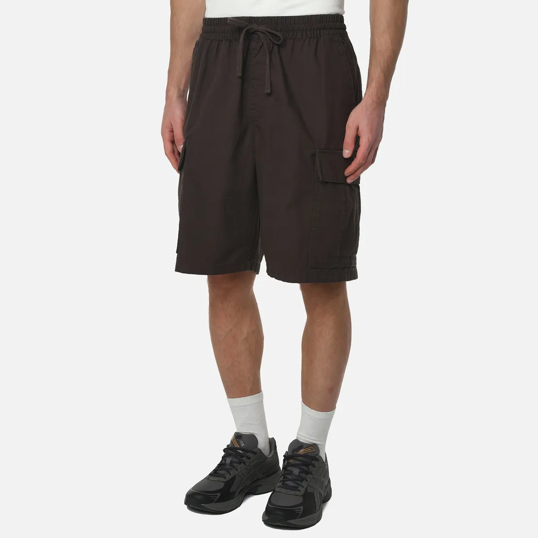 Vans Мужские шорты Range Cargo Loose