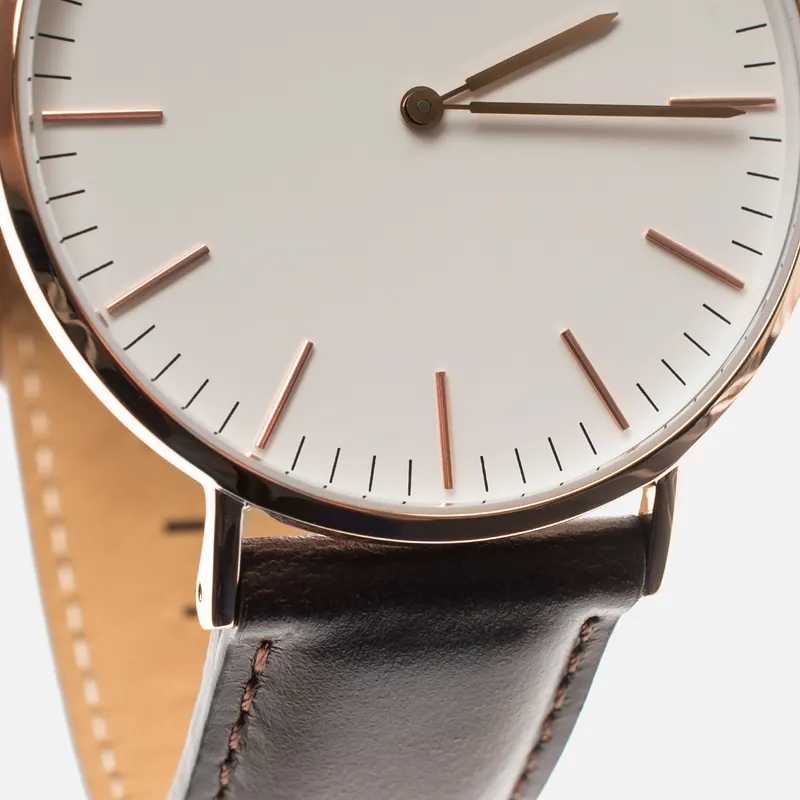 Daniel Wellington Наручные часы Classic Bristol