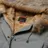 Alpha Industries