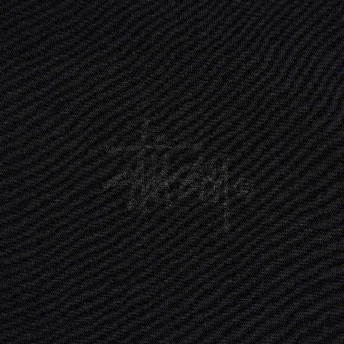 Stussy Женская футболка Basic Logo Pigment Dyed