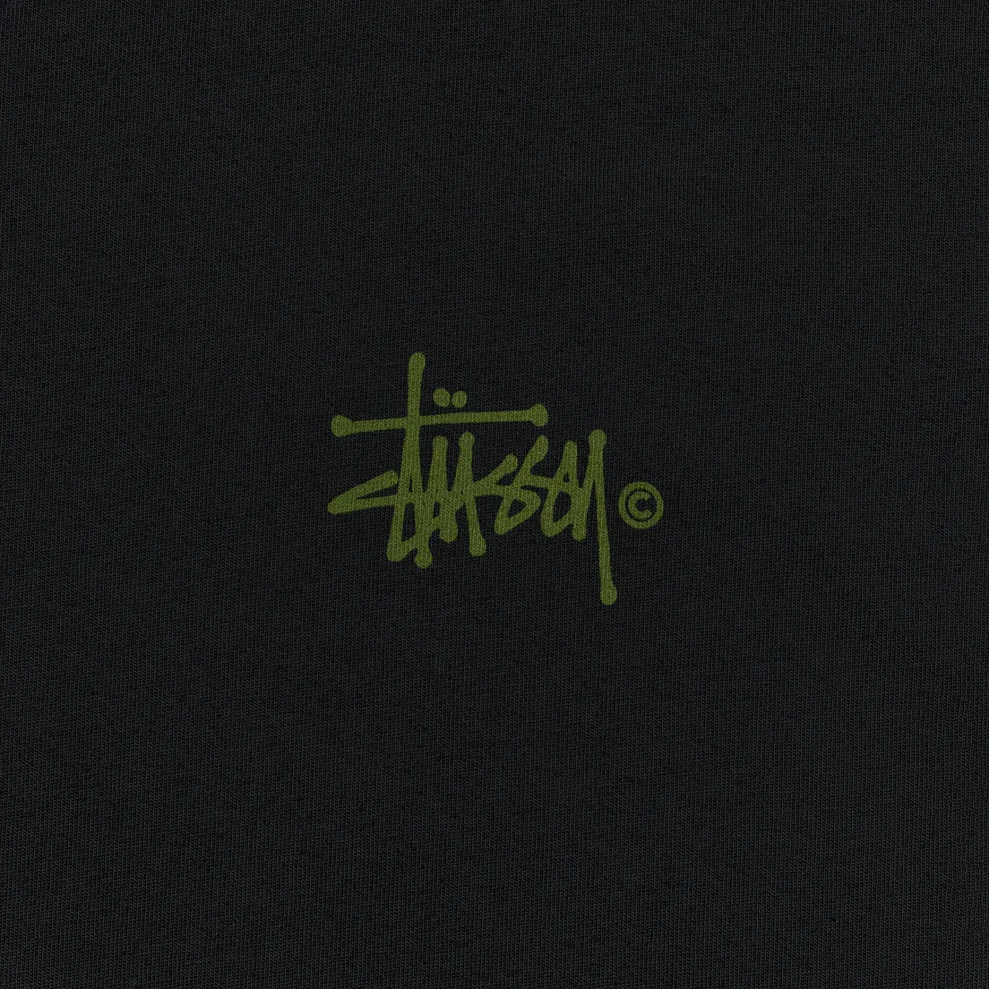 Stussy Женская футболка Basic Logo Pigment Dyed