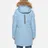 Arctic Explorer