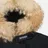 Woolrich