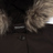 Woolrich