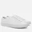 Common Projects