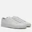 Common Projects
