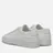 Common Projects