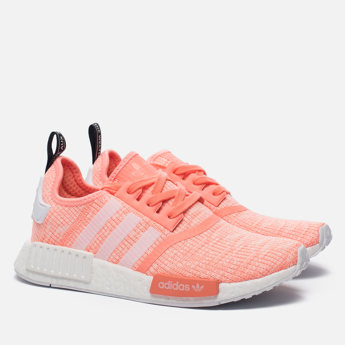 coral nmd