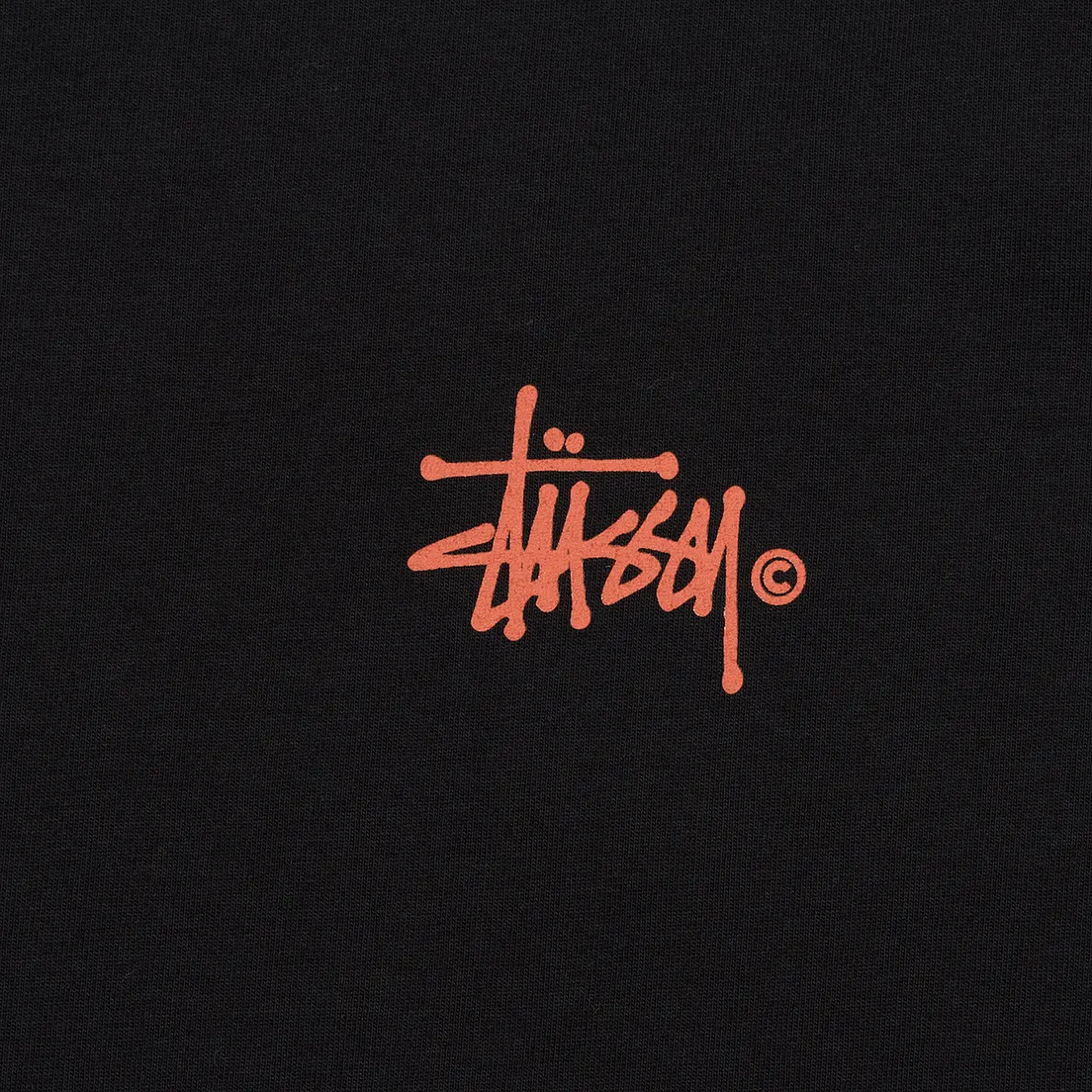 Stussy Женский лонгслив Basic Logo