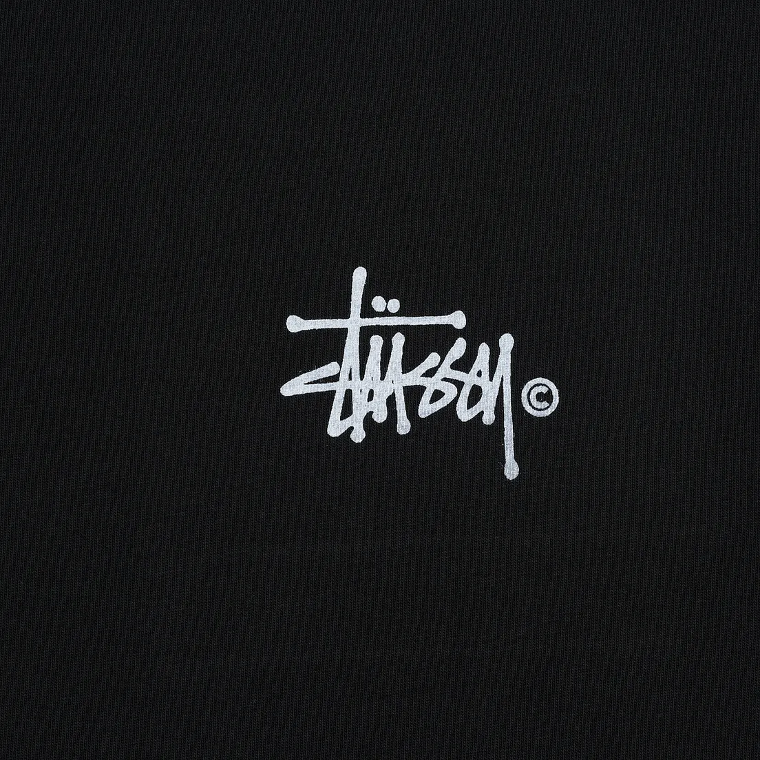 Stussy Женский лонгслив Basic Logo Pigment Dyed