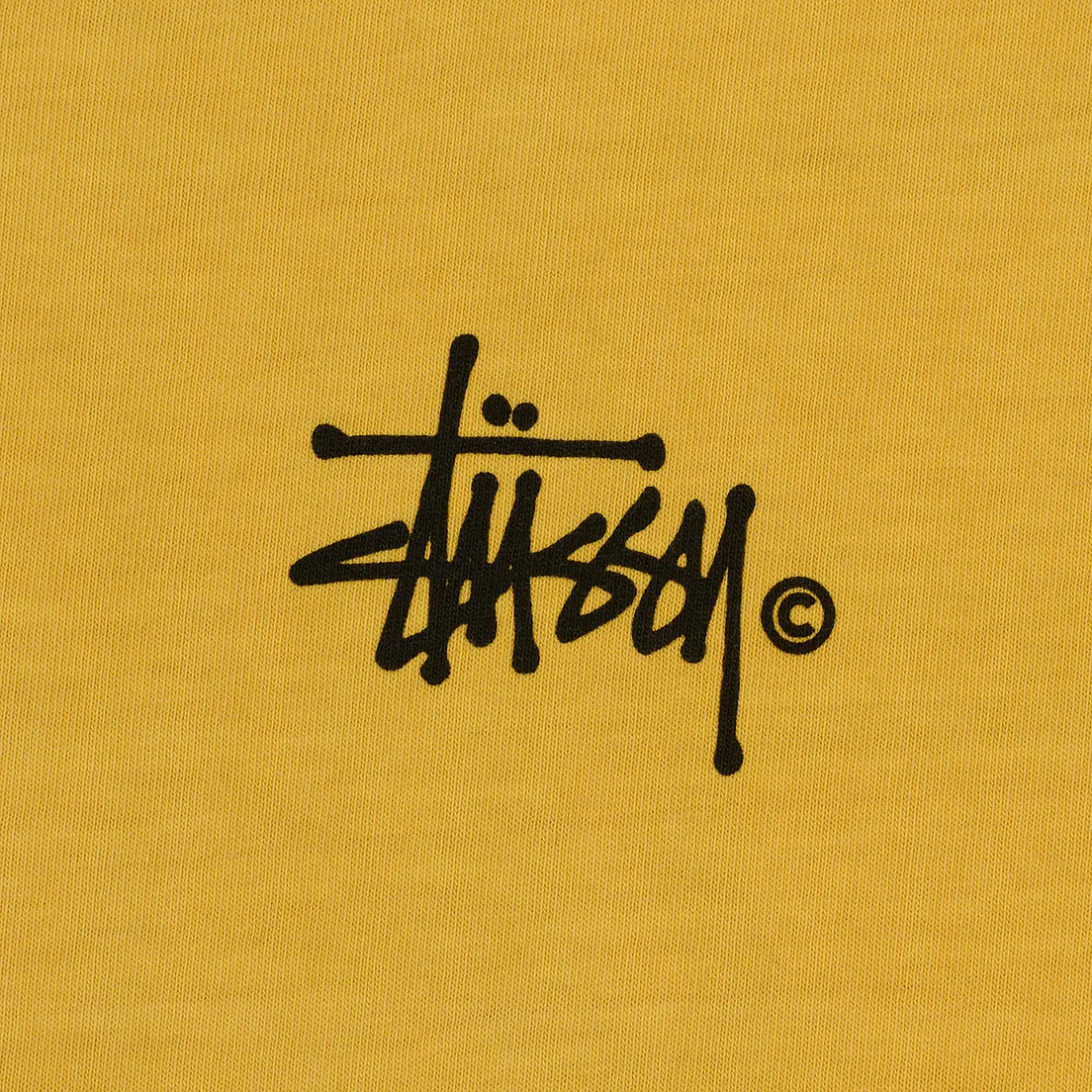 Stussy Женский лонгслив Basic Logo Pigment Dyed