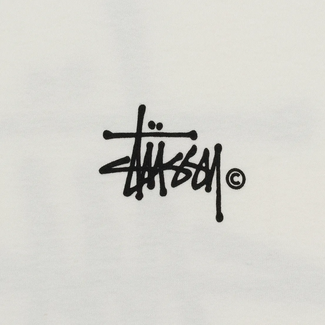 Stussy Женский лонгслив Basic Logo Pigment Dyed