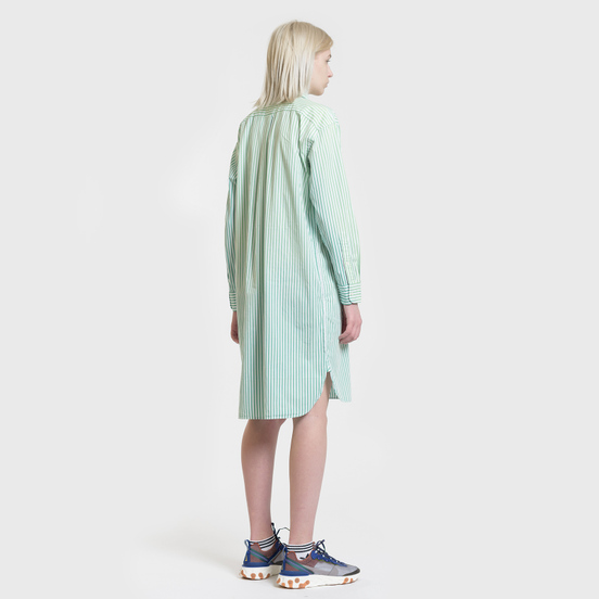 Женское платье Polo Ralph Lauren Chigo LS Sunfade Stripe Seafoam Green/White